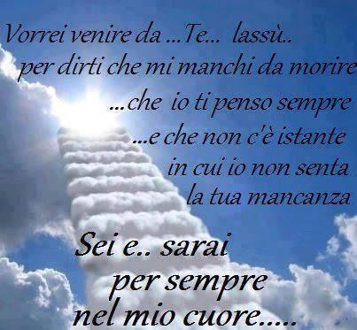 Bere fermato immensamente