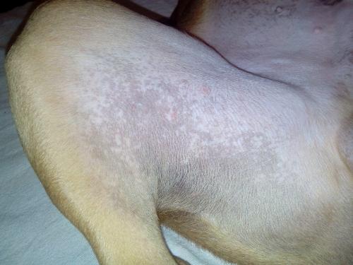 Leliminazione di pigmentary nota su una faccia Perm