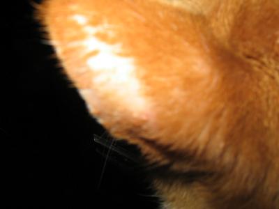 Come guarire una malattia di unghie su mani