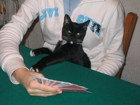 Le piace anche giocare a carte!!!!