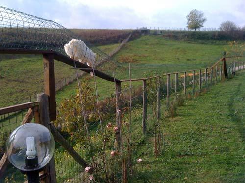 Recinzione giardino urge aiuto - 61602 843852