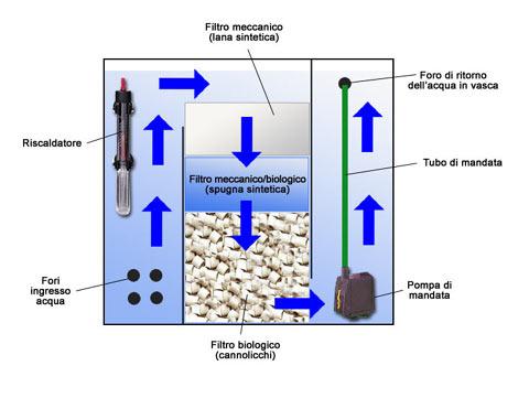 pulizia filtro interno acquario
