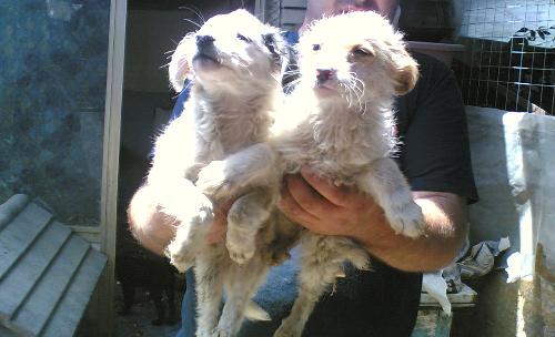20116026.jpg