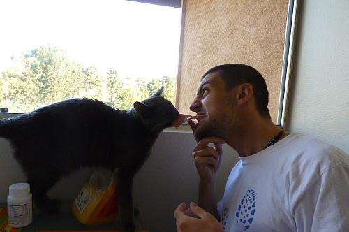 Mio marito e il gatto litigando per il prosciutto :D