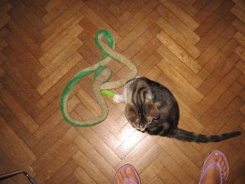 Violetta gioca con il suo inseparabile serpente verde...