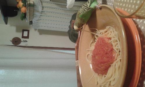 Fifi e i suoi  spaghetti 