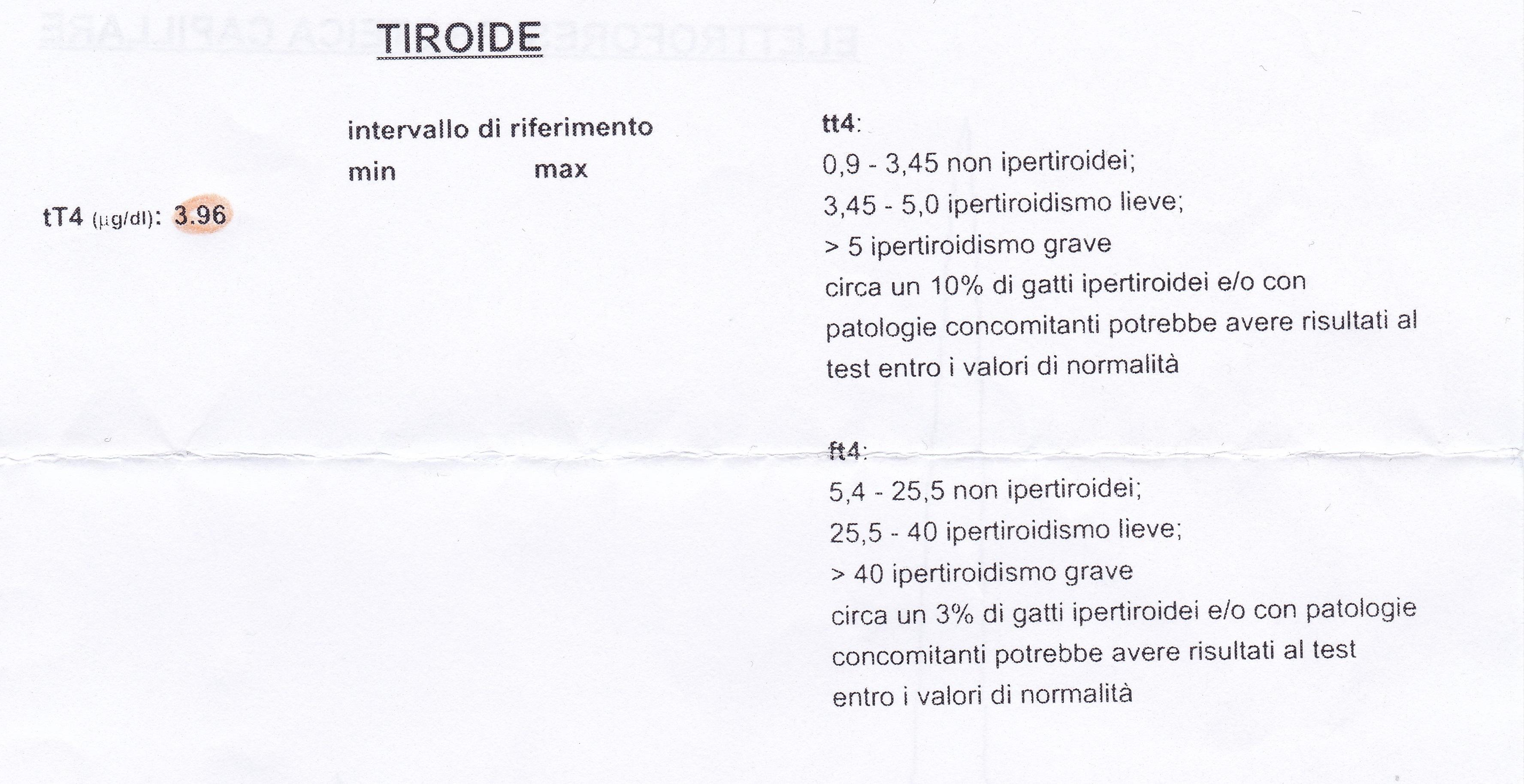 Tiroide