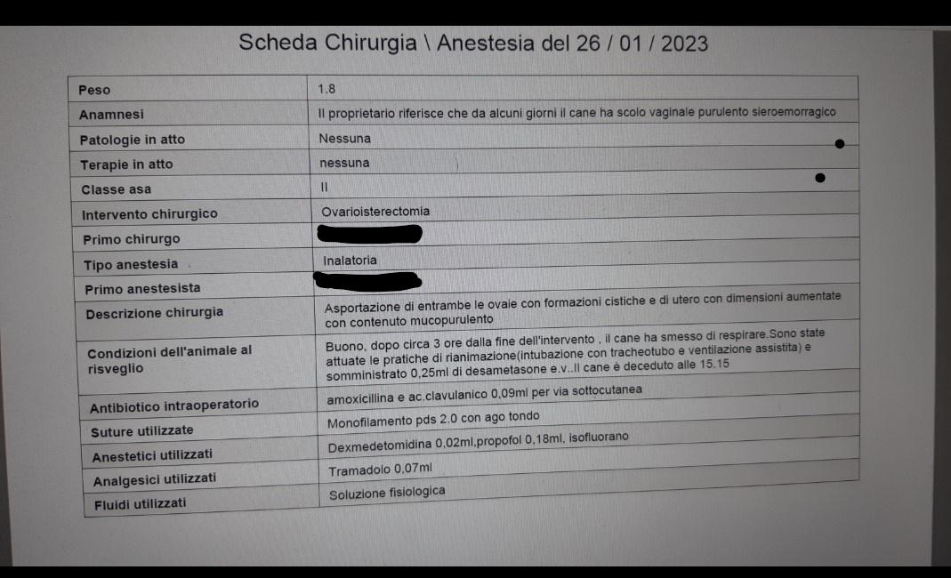 SCHEDA CHIRURGICA
