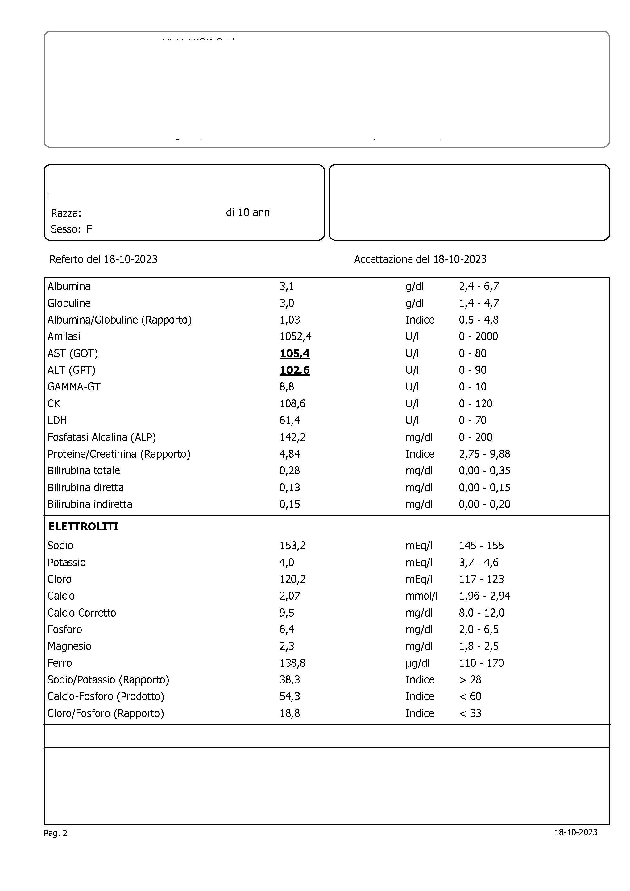 referto pagina 2