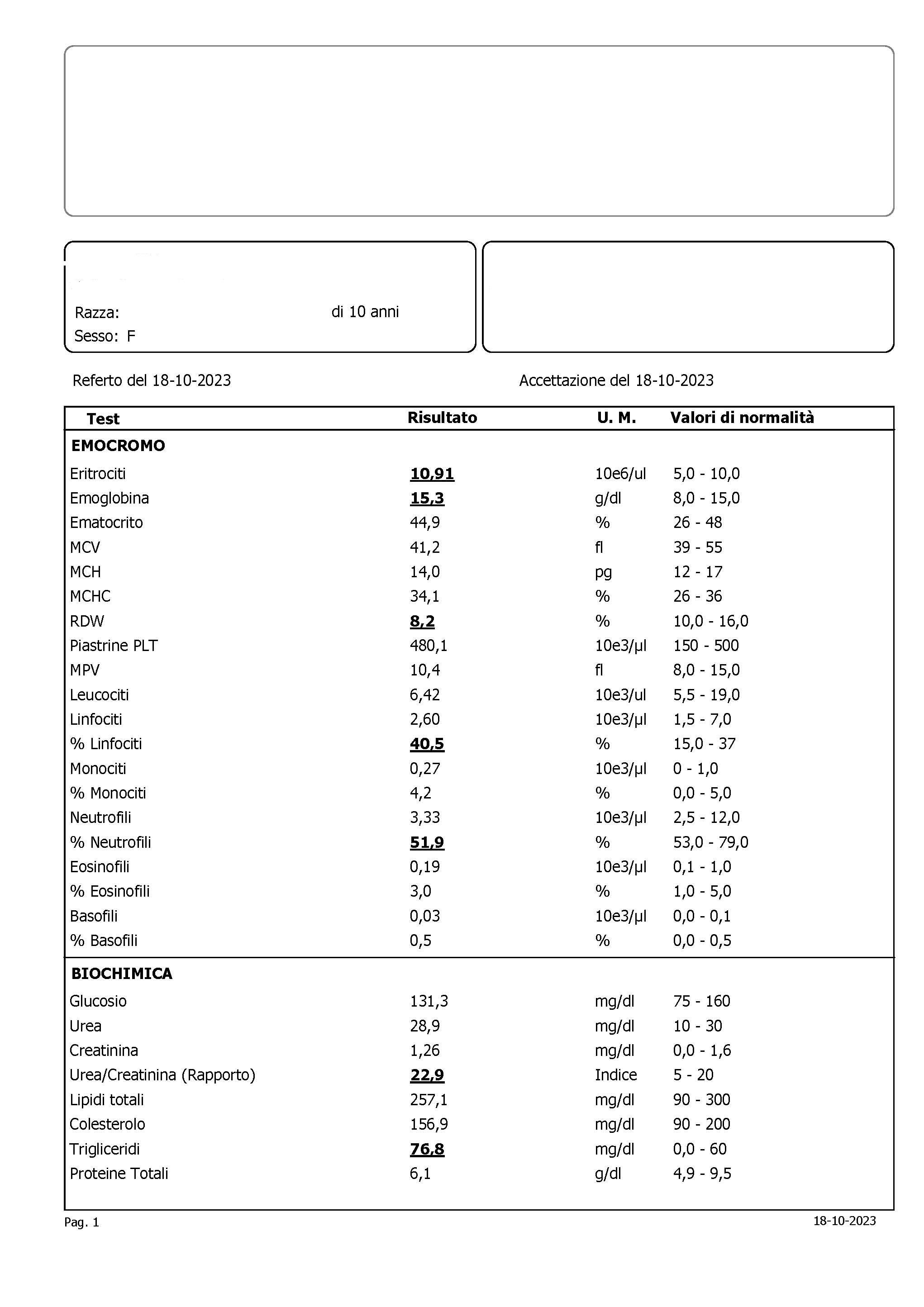 referto pagina 1