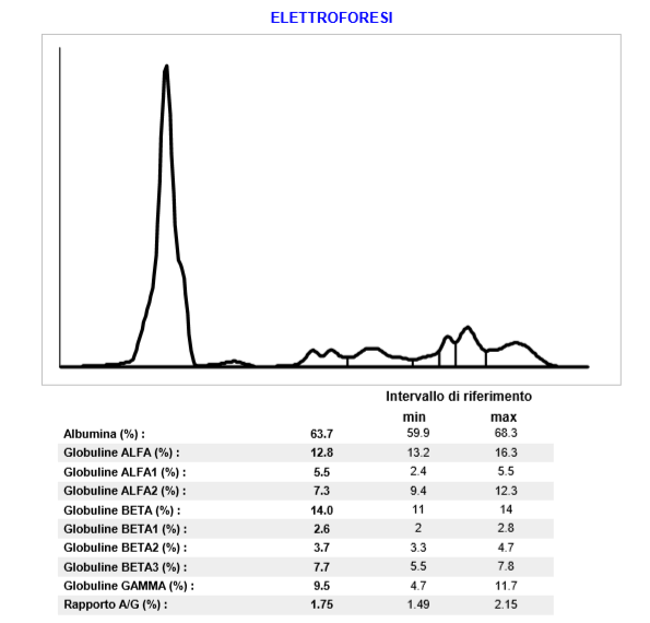 ELETTROFORESI